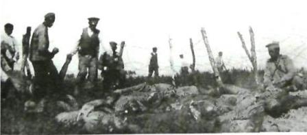 Жертви Першої світової війни